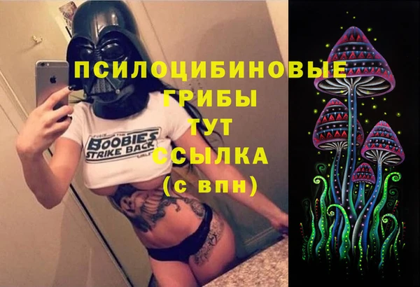 гидропоника Алзамай