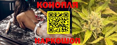 гидра Волгодонск